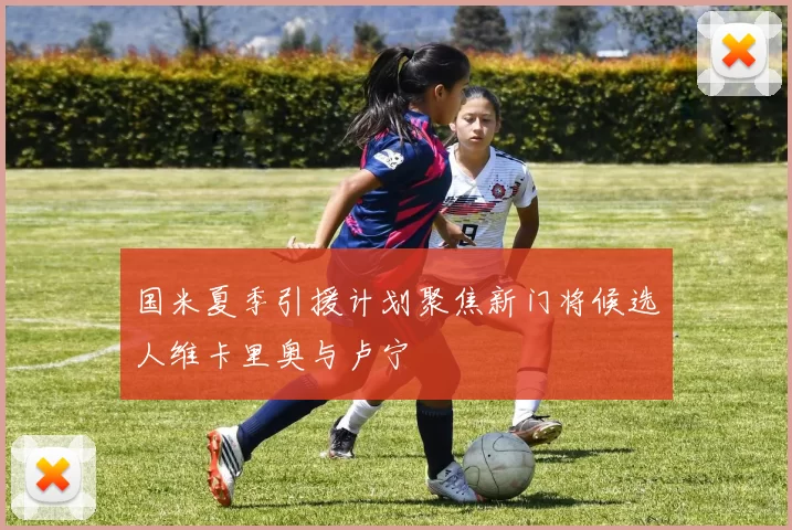 国米夏季引援计划聚焦新门将候选人维卡里奥与卢宁