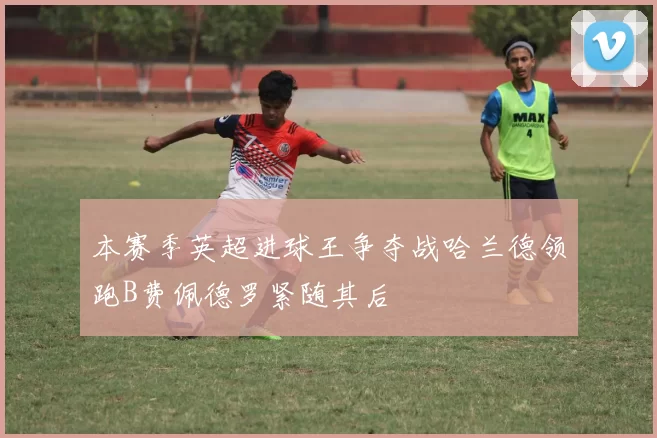 本赛季英超进球王争夺战哈兰德领跑B费佩德罗紧随其后