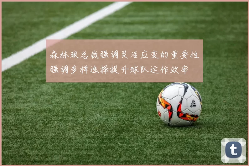 森林狼总裁强调灵活应变的重要性强调多样选择提升球队运作效率