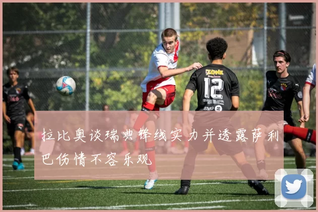 拉比奥谈瑞典锋线实力并透露萨利巴伤情不容乐观
